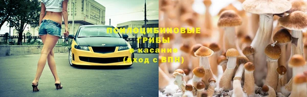 альфа пвп Горно-Алтайск