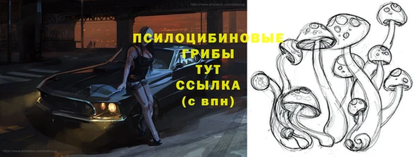 амф Болотное