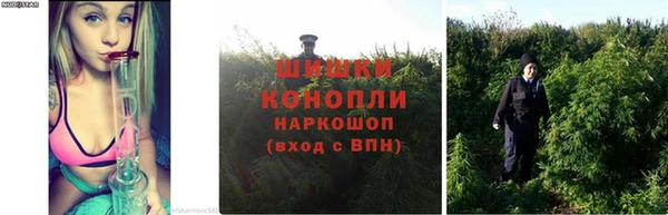 первитин Гусев