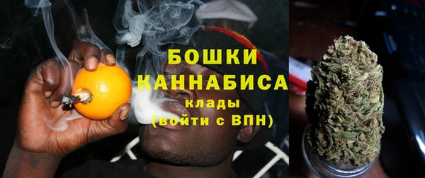 молекула духа Гусиноозёрск